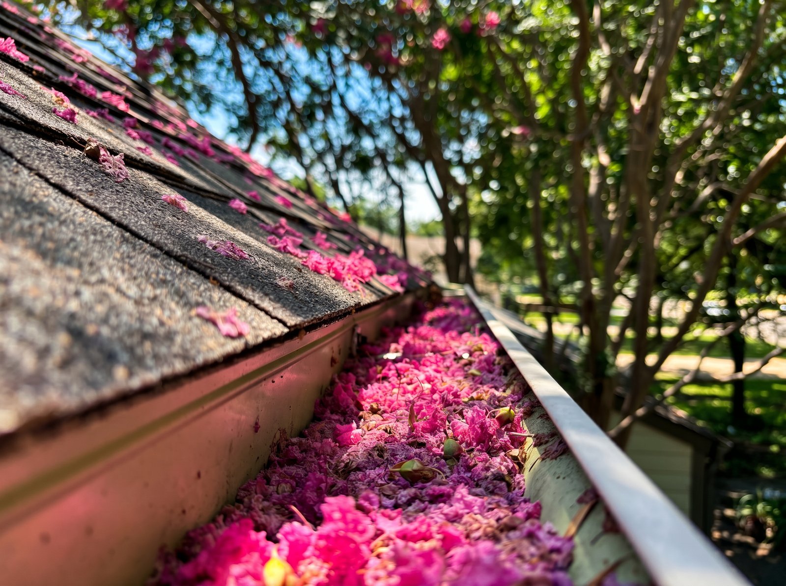 Gutter Cleaning